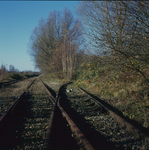 852478 Afbeelding van de overgroeide sporen tussen het terrein van de voormalige Spoorstaaflasinrichting (SLI) van de ...